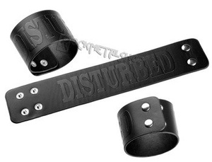 pieszczocha DISTURBED - LOGO