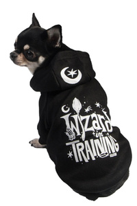 bluza dla psa KILLSTAR - WIZARD IN TRAINING
