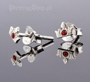 kolczyki do uszu KORONA CZER