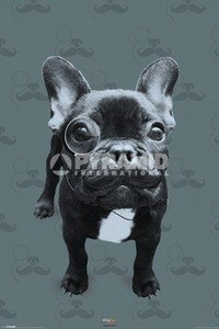 plakat IT'S A WILDLIFE - FRANCOISE