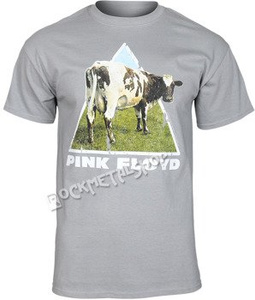 koszulka PINK FLOYD - ATOM HEART STROM GREY