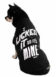 ubranko dla psa KILLSTAR - LICK