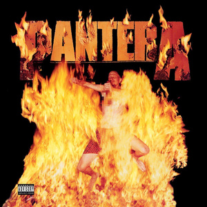 PANTERA: REINVENTING THE STEEL (LP VINYL)