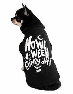 ubranko dla psa KILLSTAR -  HOWL