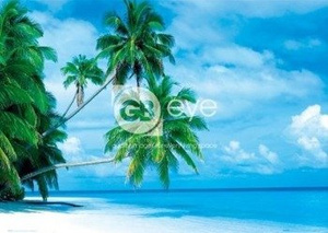 plakat MALDIVES - FIHALHOHI ISLAND