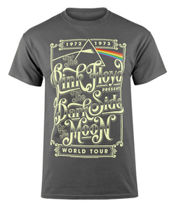 koszulka PINK FLOYD - DSOTM TYPOGRAPHY szara