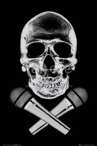 PLAKAT  CZASZKA - MIKROFONY - STEEZ - SKULL