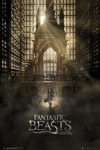 plakat FANTASTIC BEASTS - ONE SHEET