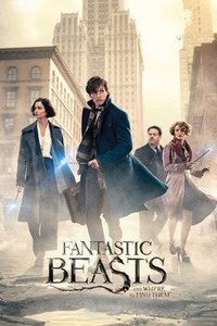 plakat FANTASTIC BEASTS - STREET