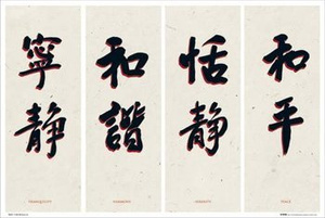 plakat CHIŃSKIE ZNAKI - CHINESE WRITING