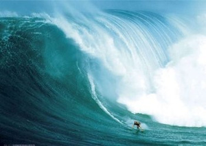 plakat SURFER - WAVE RIDER