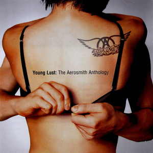 AEROSMITH: YOUNG LUST ANTHOLOGY (2CD)
