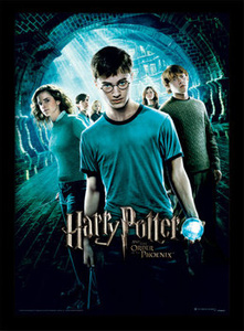 obraz w ramie 3D HARRY POTTER - ORDER OF THE PHOENIX