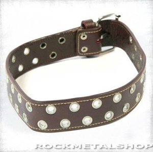 obroża 2-rzędowa okucia z obszyciem