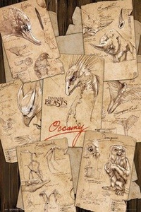 plakat FANTASTIC BEASTS - FIELD NOTES