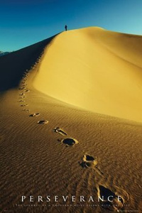 plakat PUSTYNIA - WYDMY - MOTYWACJA - ŚLADY STÓP