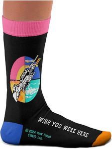 skarpetki PINK FLOYD - WISH YOU WERE HERE