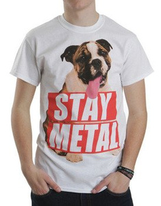 koszulka MISS MAY I - BULL DOG