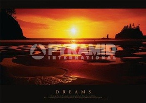 plakat DREAMS