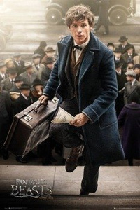 plakat FANTASTIC BEASTS - NEWT SCAMANDER
