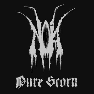 płyta CD: NOIA - PURE SCORN