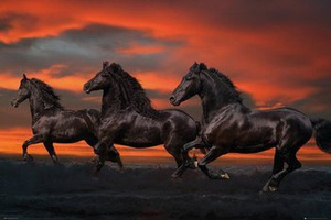 plakat KONIE -BOB LANGRISH - FANTASY HORSES