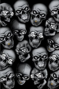 plakat CZASZKI - HYBRID - SKULLS