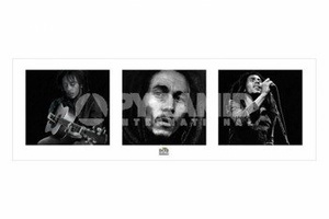 plakat BOB MARLEY - B&W