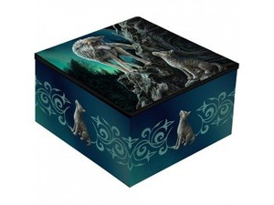 szkatułka GUIDANCE MIRROR