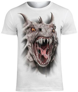 koszulka ROAR OF THE DRAGON Spiral