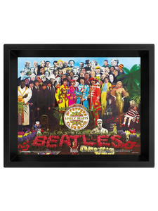 obraz w ramie 3D THE BEATLES - SGT. PEPPER