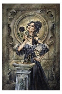 plakat ALCHEMY - BLACK ROSE