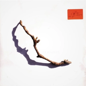 PJ HARVEY: I INSIDE THE OLD YEAR DYING (LP VINYL)