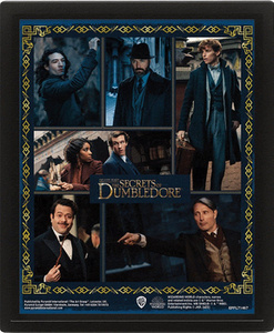 obraz w ramie 3D FANTASTIC BEASTS THE SECRETS OF DUMBLEDORE - CHARACTERS