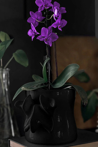 doniczka KILLSTAR - OSSUARY