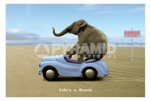 plakat LIFE'S A BEACH - ELEPHANT ON A CAR
