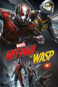 plakat ANT-MAN AND THE WASP - DYNAMIC
