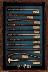 plakat HARRY POTTER - WANDS