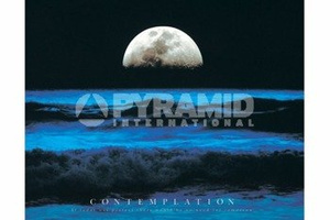 plakat CONTEMPLATION