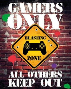 plakat GAMERS ONLY - CONTROLLER KEEP OUT