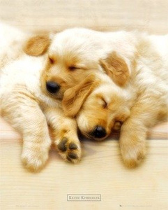 plakat KEITH KIMBERLIN - SNOOZE