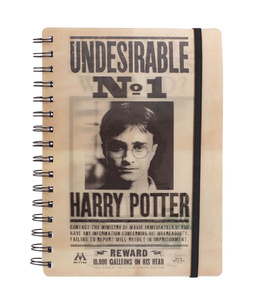 zeszyt HARRY POTTER - HARRY & SIRIUS okładka 3D