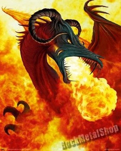 plakat FIRE DRAGON