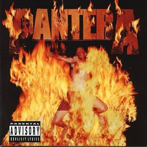 PANTERA: REINVENTING THE STEEL (CD)