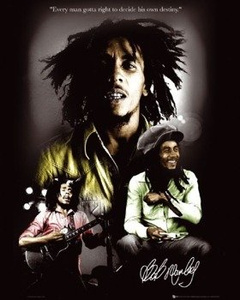 plakat BOB MARLEY - DESTINY