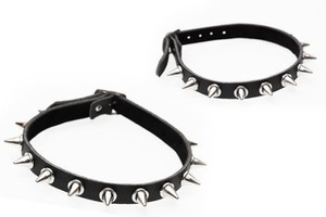 obroża 1-rzędowa - Spike, VEGAN